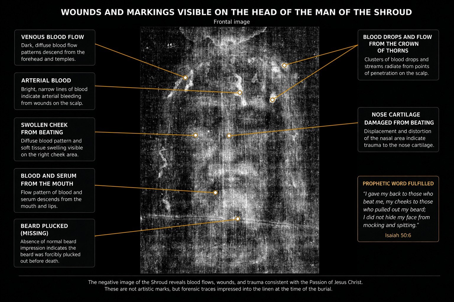 Frontal image of the head on the Shroud.