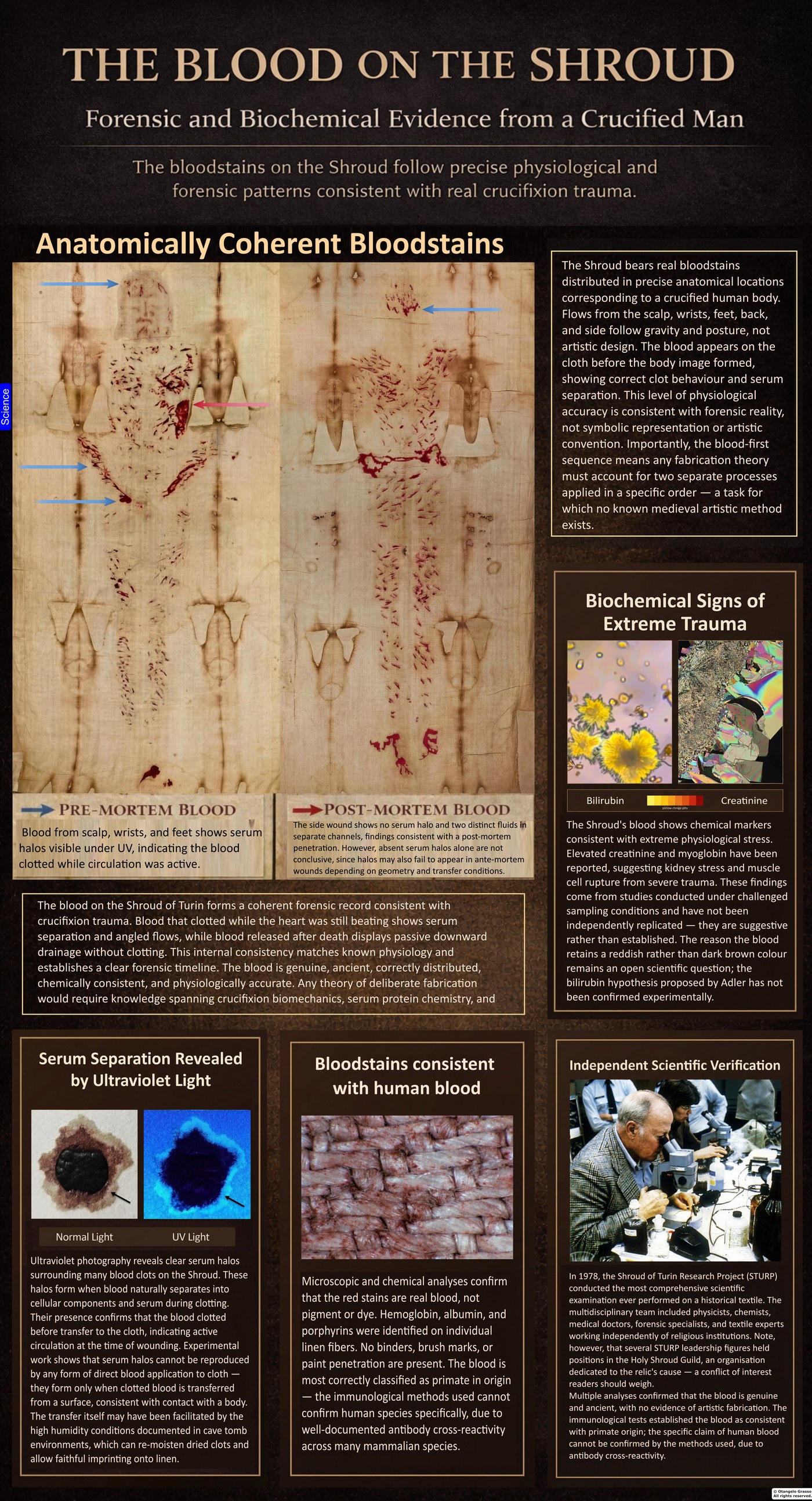 Infographic panel: The blood on the Shroud. Shows the pre-mortem and post-mortem blood distinction, serum separation under ultraviolet light, the biochemical signs of extreme trauma, and the immunological verification.