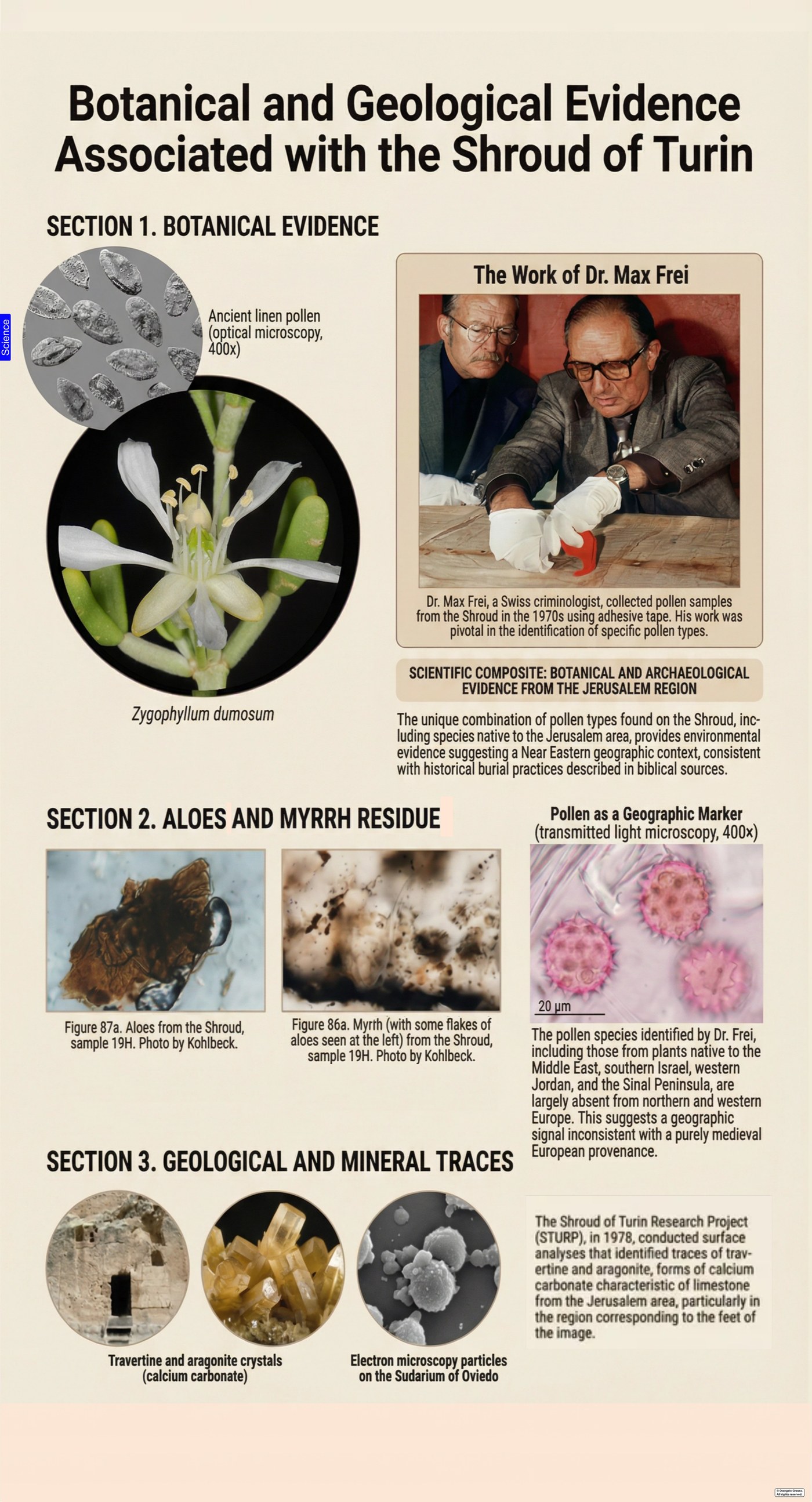 Infographic panel: Silent witnesses, pollen and limestone. Shows the pollen clusters associated with Judea, Anatolia and Western Europe, and the travertine aragonite particles compared with Jerusalem tomb limestone.