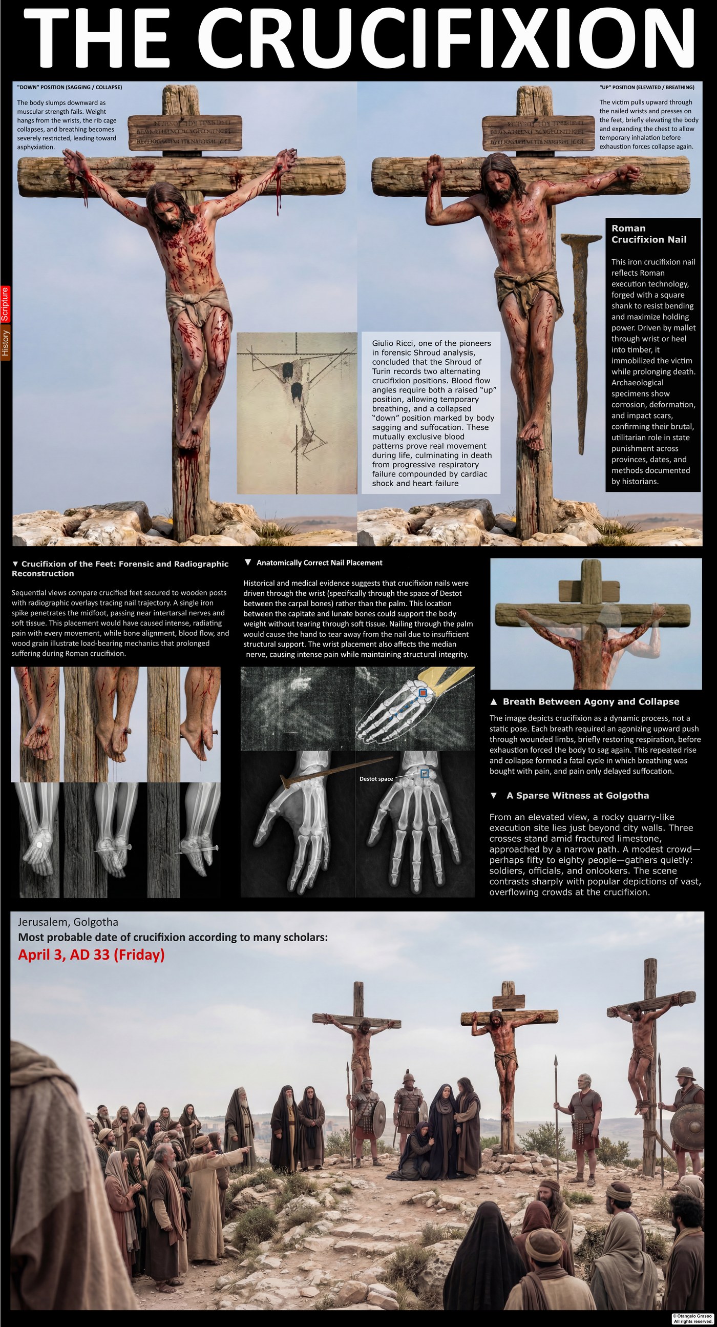Infographic panel: the crucifixion, showing the cross, the placement of the nails and the posture of the body.