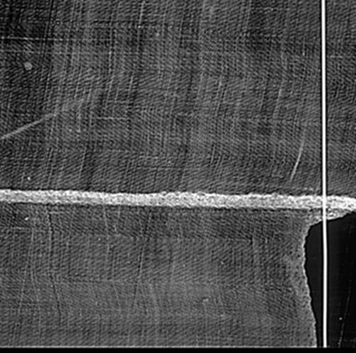 Radiograph of the Shroud from the companion book, showing the threads and the repairs visible in the cloth structure.